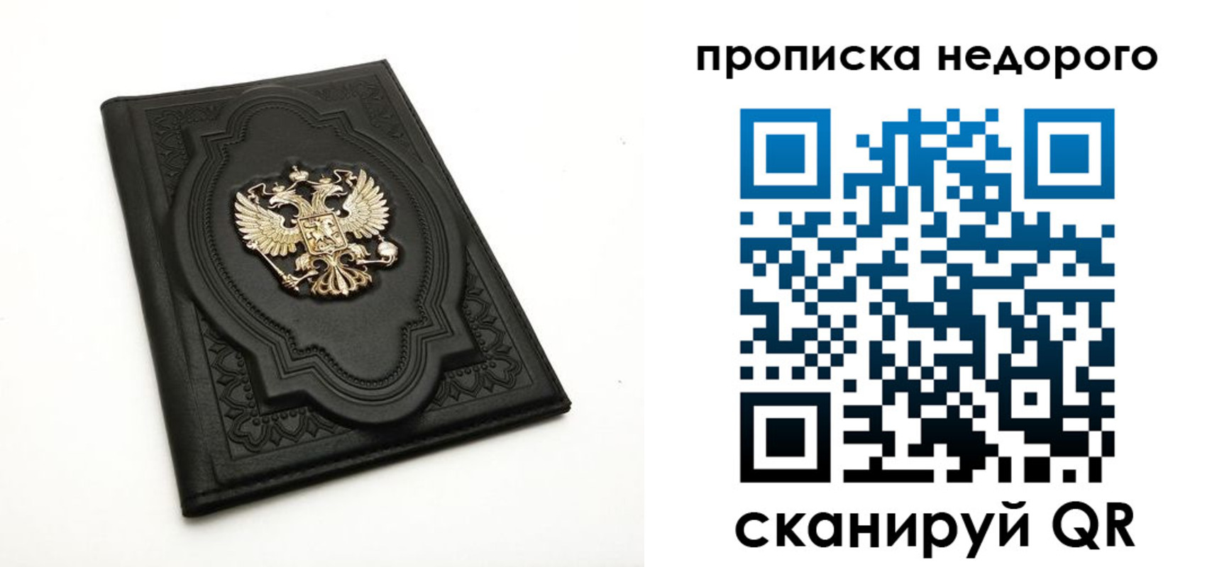 прописка для школы в Тверской области
